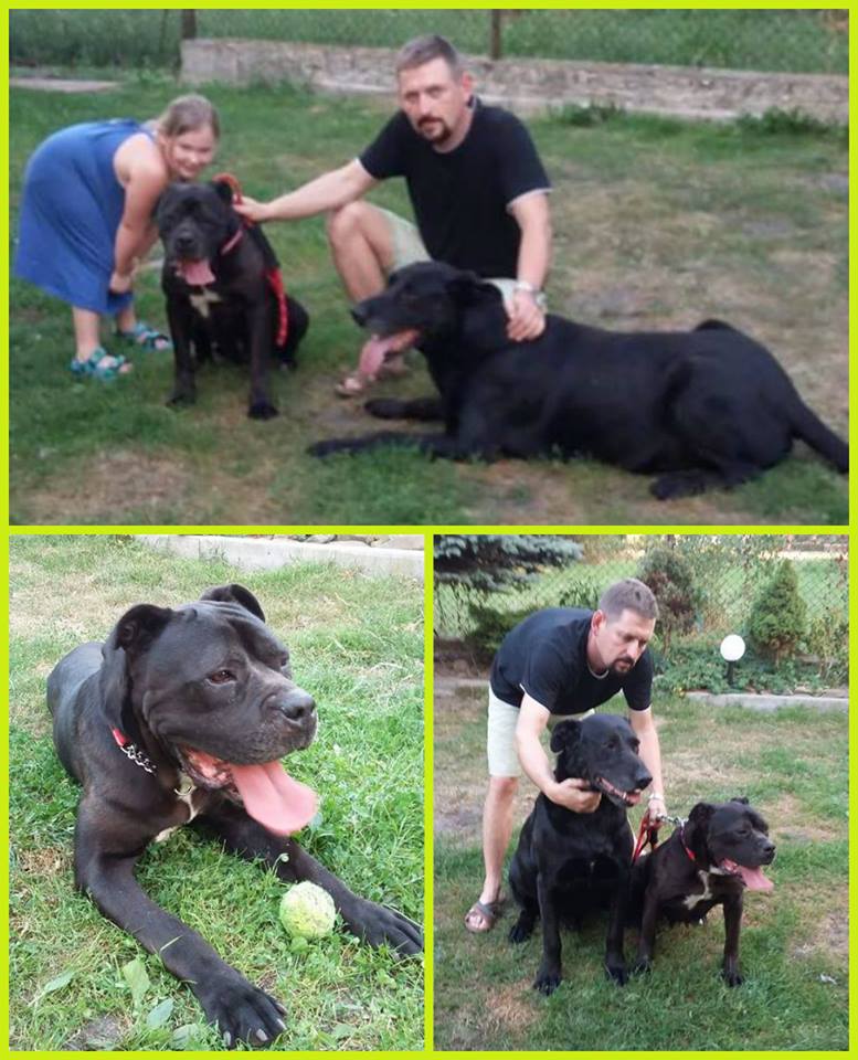 Negra została adoptowana 01.08.2017, zamieszkała w Niepołomicach 